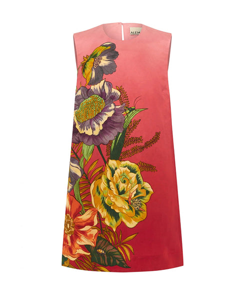 Inez Mini Dress - Pink Ombre